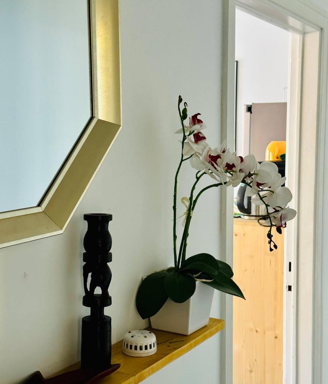 Self-Check In Sunny & Charming Apt Coímbra Exterior foto
